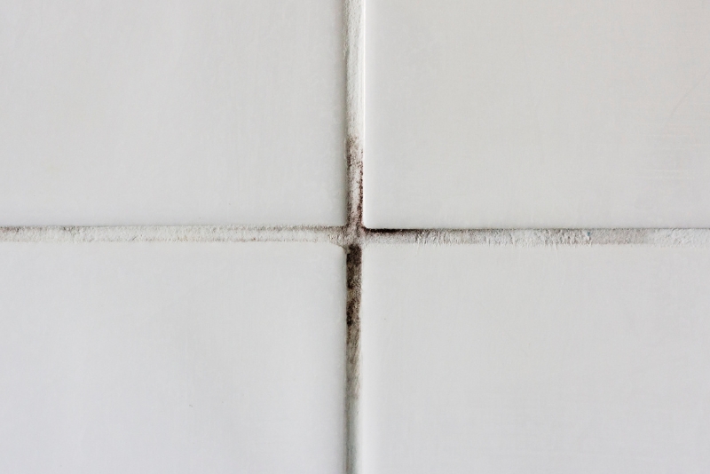 Ron gạch bị nấm mốc