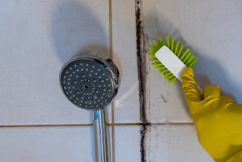 Ron gạch bị nấm mốc? Nguyên nhân thường gặp và giải pháp khắc phục triệt để